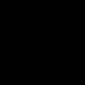 Meet your Posher, Jesse